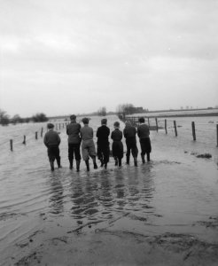 Overstromingen in het gebied van Lobith, Bestanddeelnr 909-3371 photo