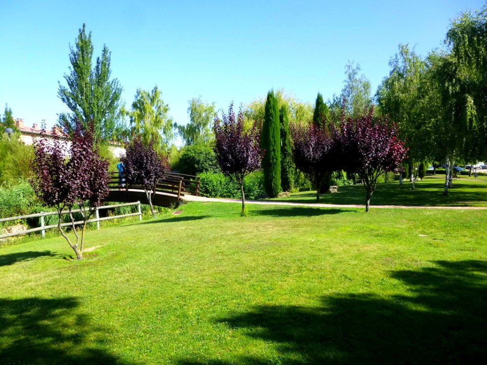 Oyón - Parque Arroyo Grande 12