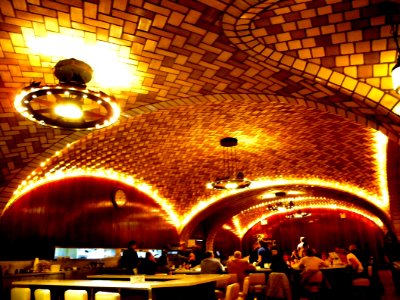 Oyster Bar ceiling west jeh
