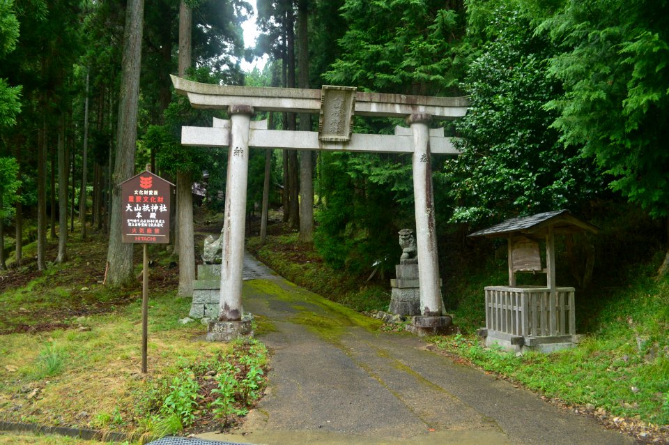 Oyamazumi-jinja (Nantan), torii