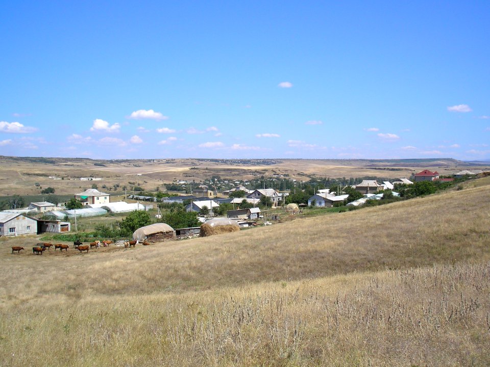 Oysunki 1 0