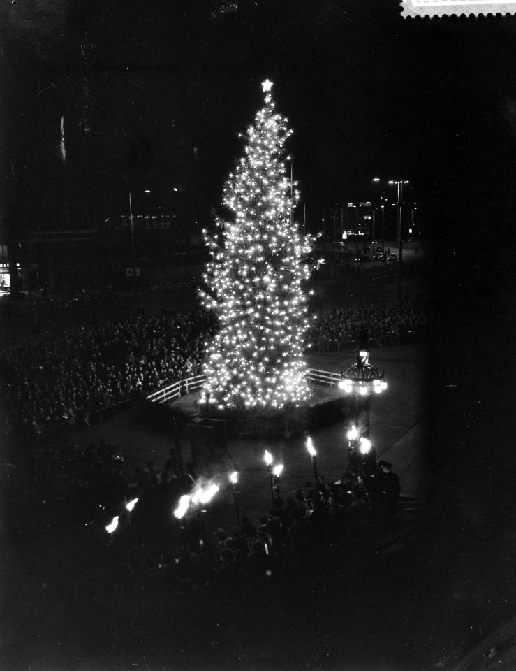 Overdracht van de door Oslo aan Rotterdam geschonken kerstboom, Bestanddeelnr 910-0479