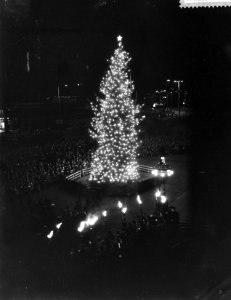 Overdracht van de door Oslo aan Rotterdam geschonken kerstboom, Bestanddeelnr 910-0479