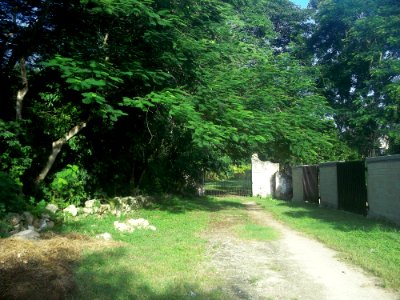 Oxtapacab, Yucatán (05)
