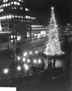 Overdracht Noorse kerstboom door burgemeester van Oslo aan Rotterdam, Bestanddeelnr 911-8942
