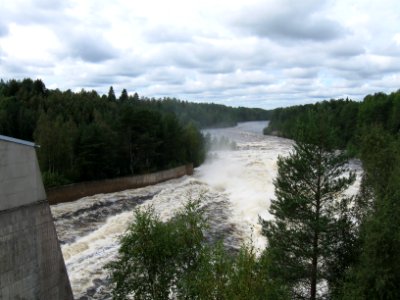 Pälli 1