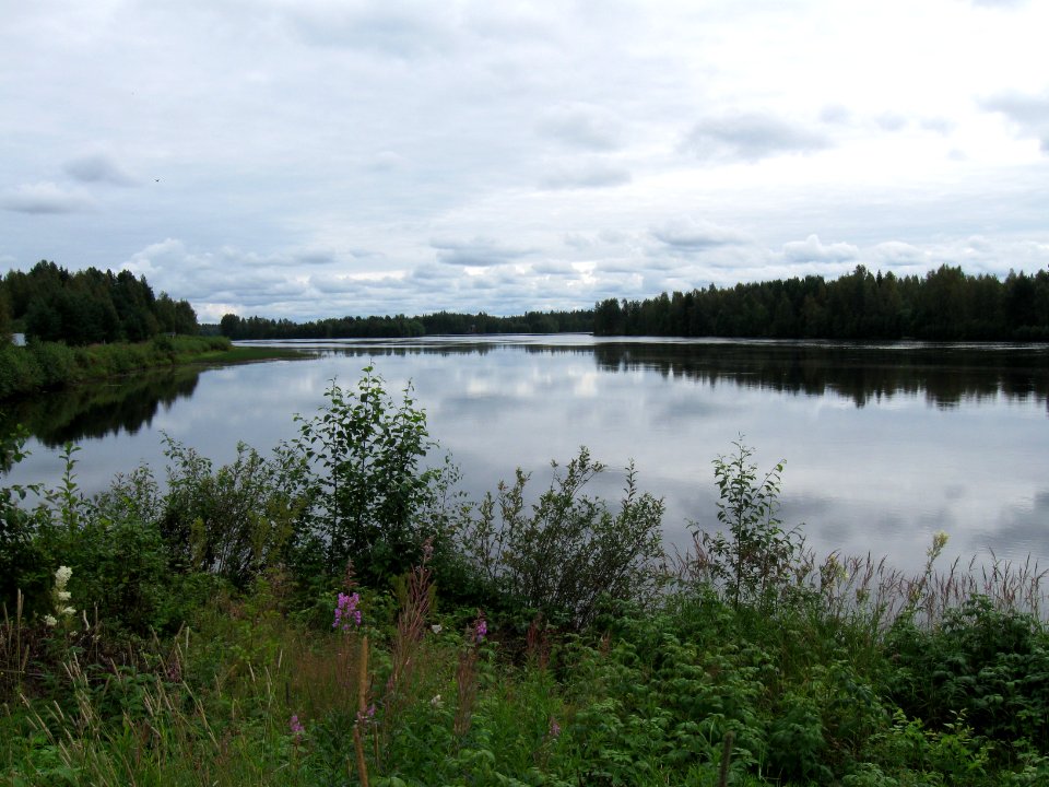 Pälli 3