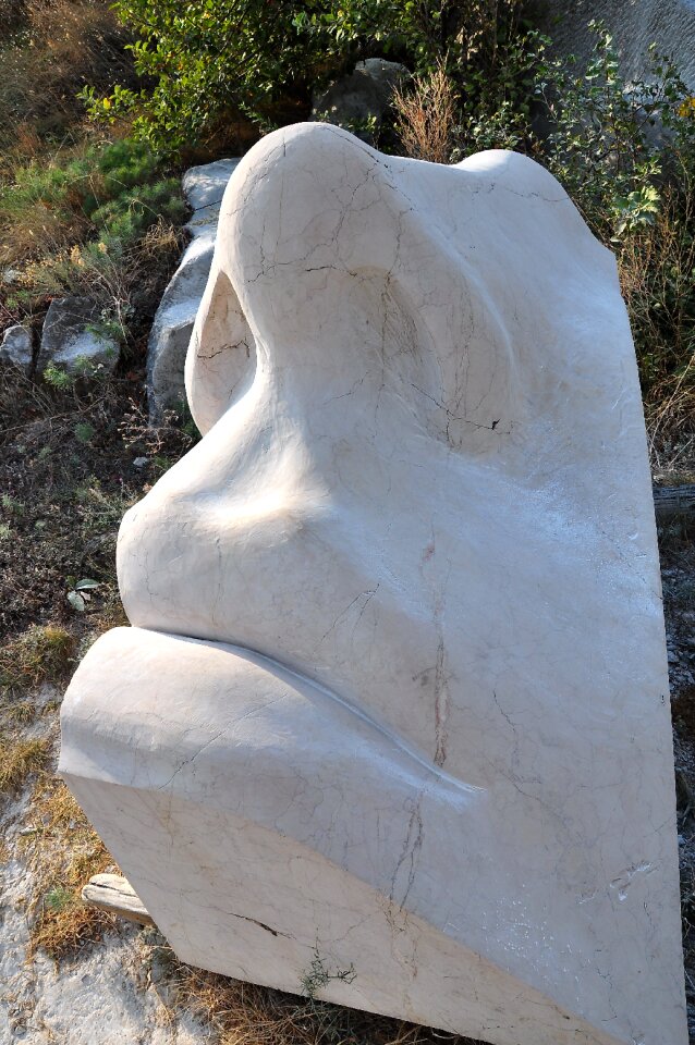 Carving stone head