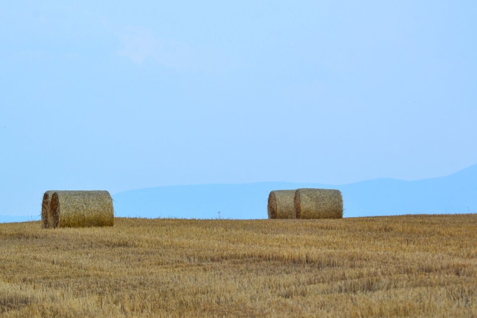 Summer countryside summer landscape
