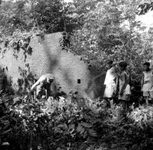 Overste Boogh op zoek naar graven op de voormalige Jodensavanna aan de Surinamer, Bestanddeelnr 252-6935