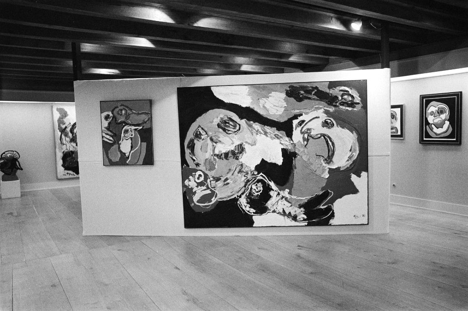 Overzicht tentoonstelling Karel Appel in Zeisterslot deel tentoonstelling, Bestanddeelnr 929-2518