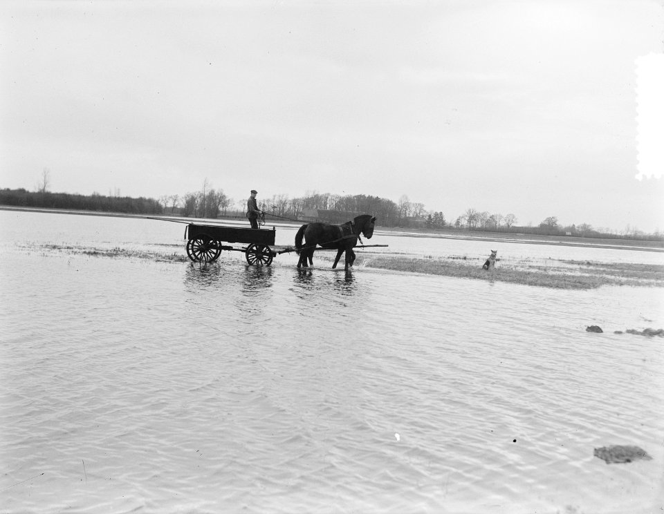 Overstroming bij Meppel, Bestanddeelnr 904-8693