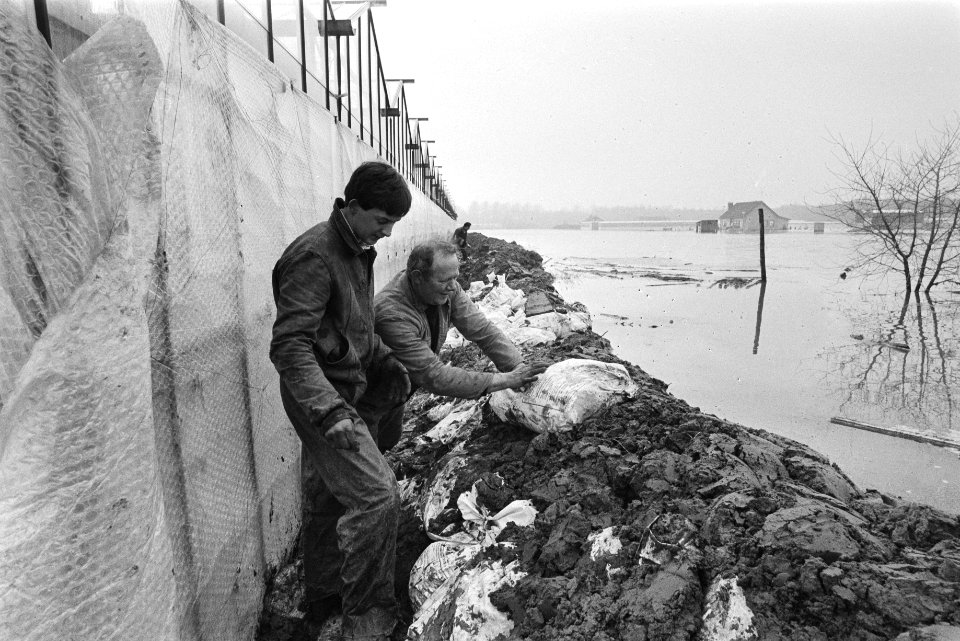 Overstromingen in Limburg, Venlo e.o. aarden wal tegen het water rond kassen, Bestanddeelnr 932-8648