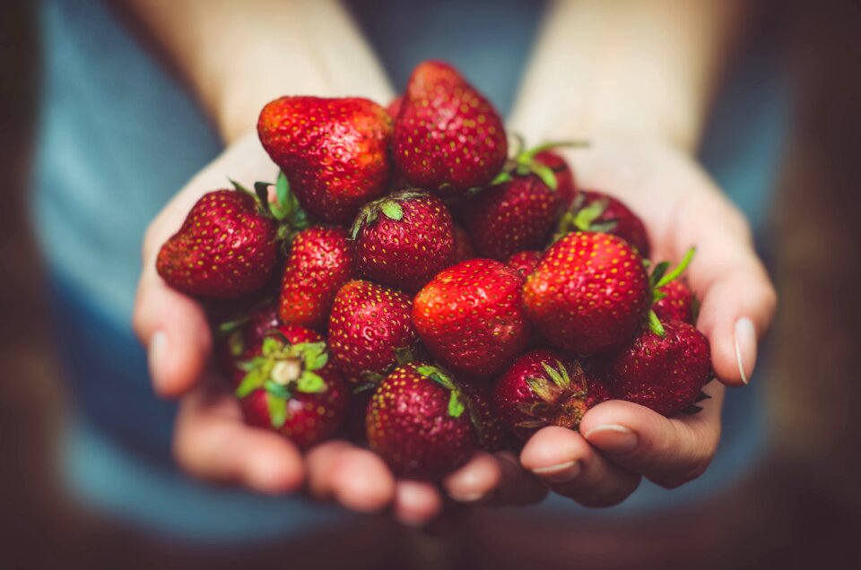 Food fresh hands