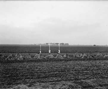 Overzicht plaats van ontploffing IJ-polder, Bestanddeelnr 901-8742