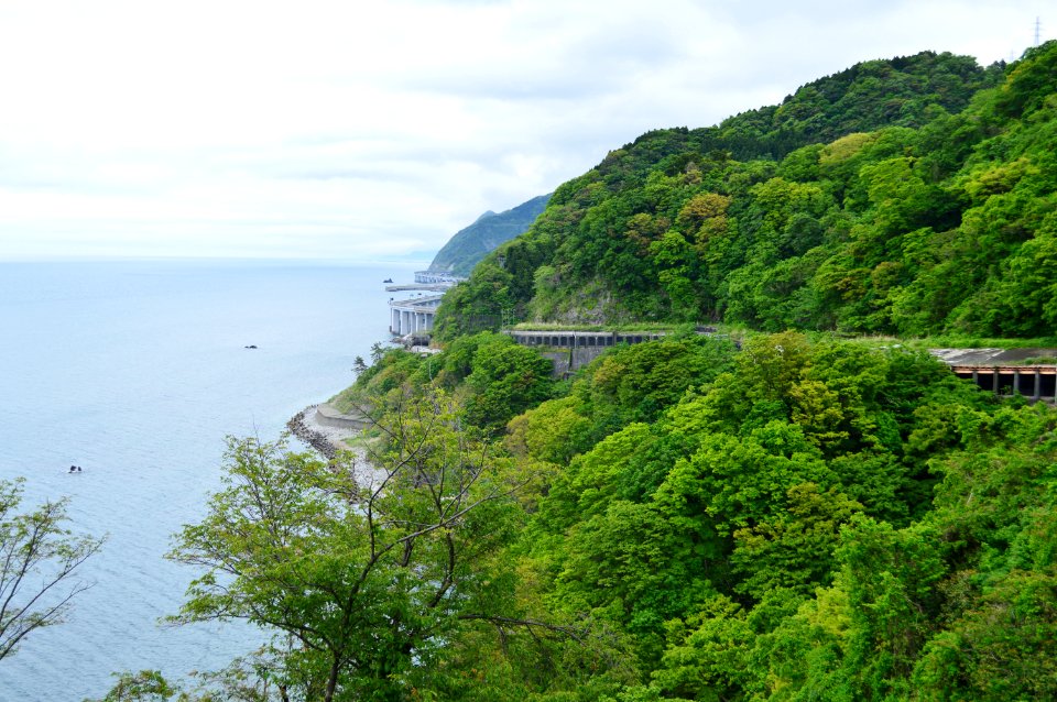 Oyashirazu, enkei
