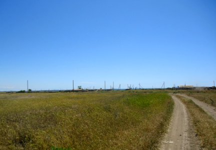 OzyorovkaCr 1