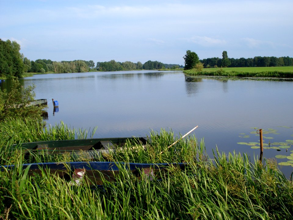 Overlangel, Hertogswetering, la section de Hamerspoel, ancien lit de la Meuse