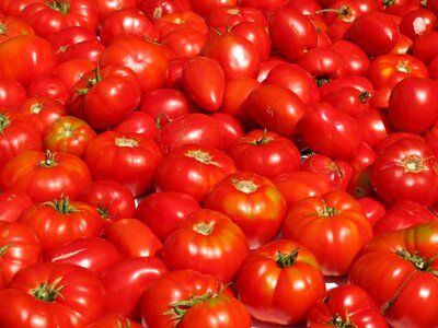 Red crop healthy