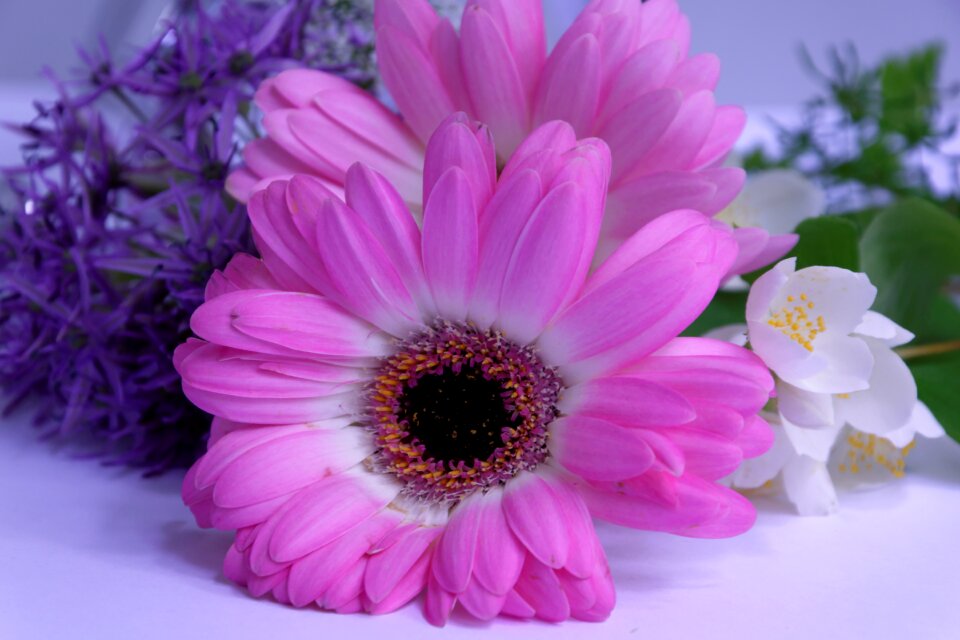 Fragrance summer thoughts