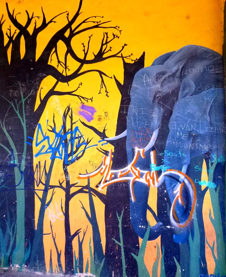 Pamplona - Graffiti 13