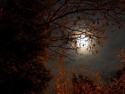 2016 supermoon brown moon
