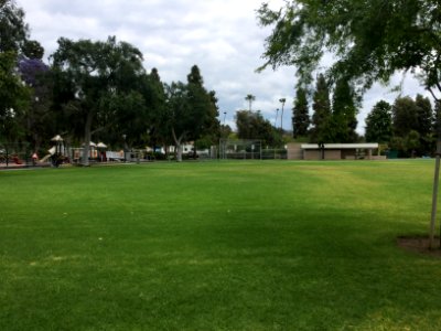 Palm park, Whittier, California 8