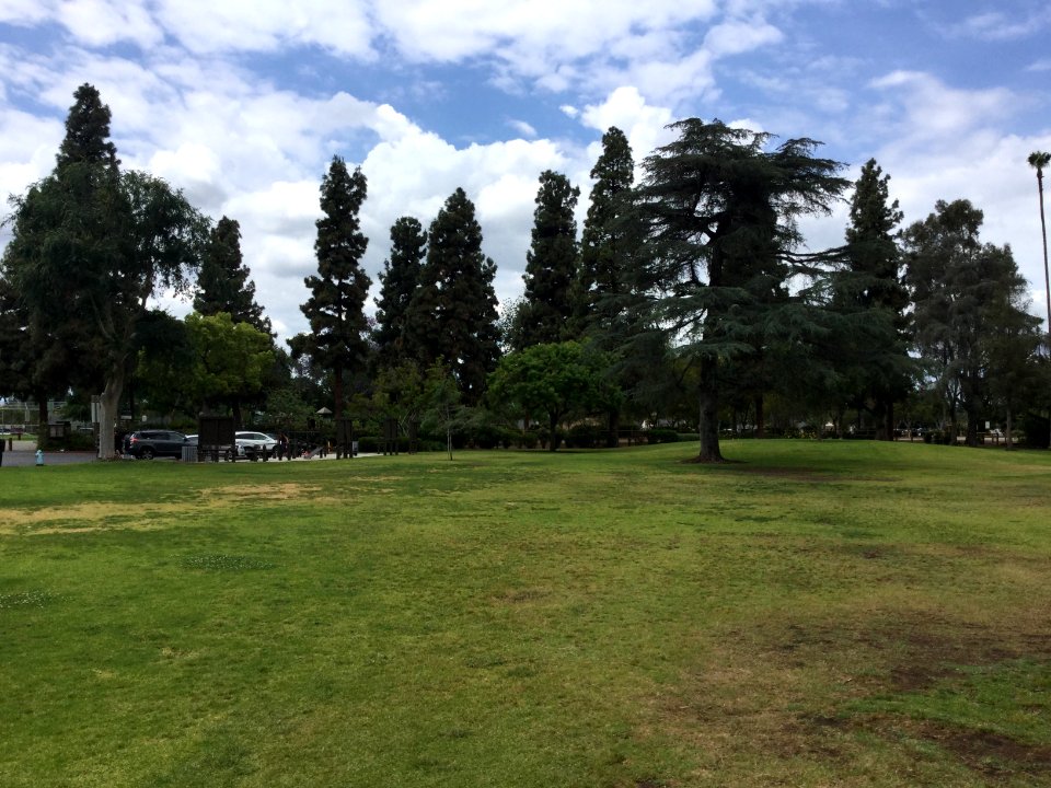 Palm park, Whittier, California 0