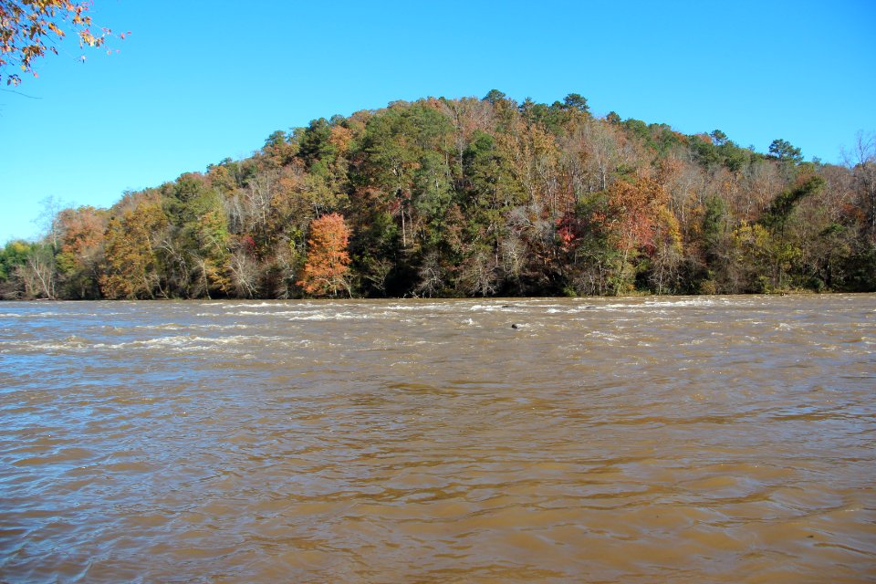 Palisades West Trail - Chattahoochee River November 2018 1