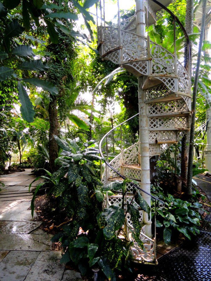 Palm House (University of Copenhagen Botanical Garden) - DSC07372