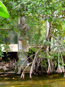 Palm House (University of Copenhagen Botanical Garden) - photo