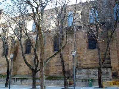 Pamplona - Catedral, exterior 04