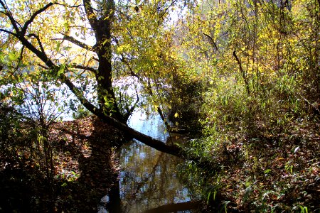 Palisades West Trail - Chattahoochee River November 2018 2