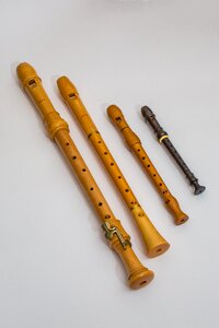 Woodwind wooden flute music