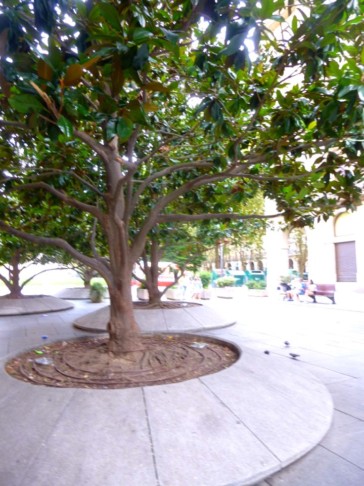 Pamplona - Avenida de Carlos III el Noble 1