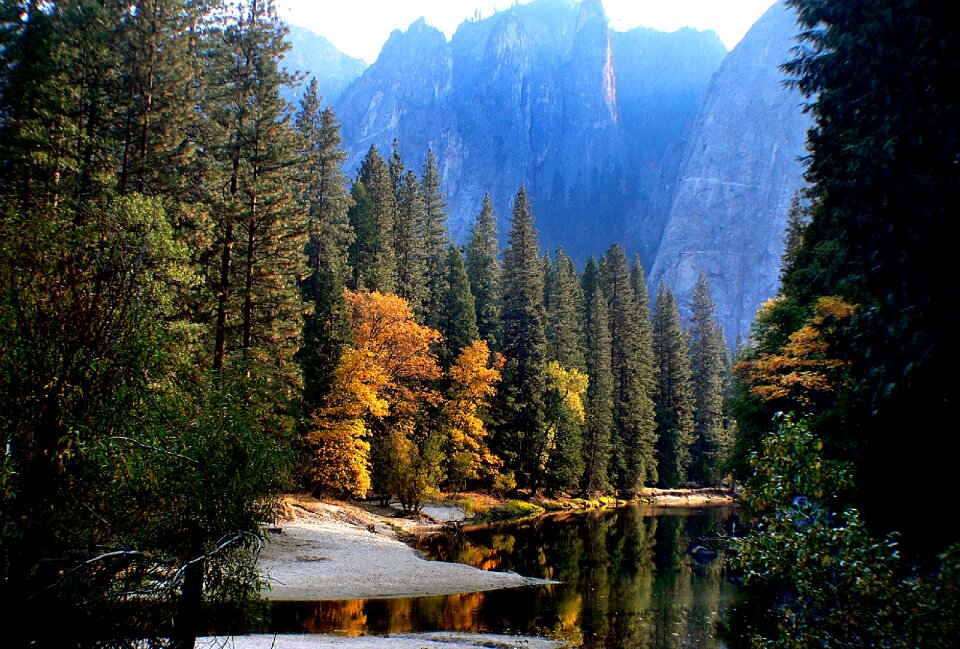 Trees mountains outdoors