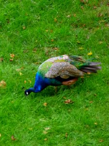 Pamplona - Parque de la Taconera 13