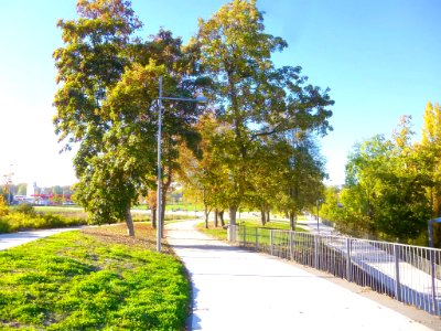 Pamplona - Paseo Kosterapea 1