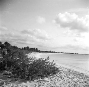 Palm Beach op Aruba, Bestanddeelnr 252-7955