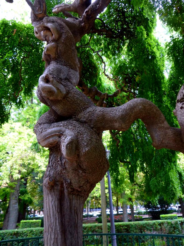Pamplona - Parque de la Taconera 06