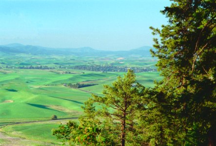 Palouse wa