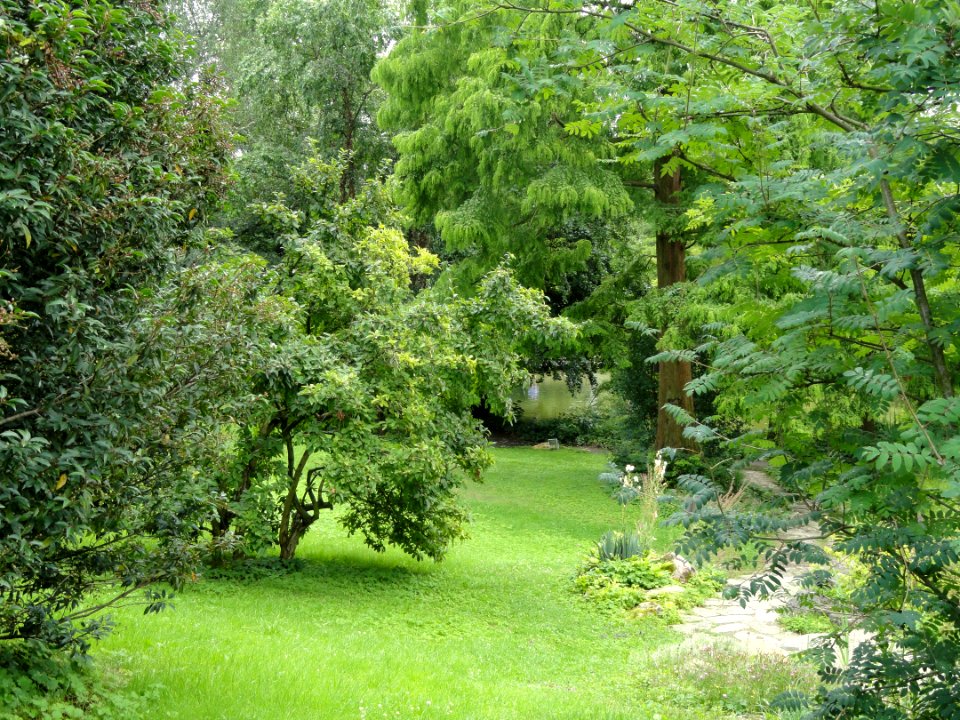 Palmengarten Frankfurt - DSC02012