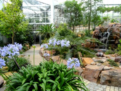 Palmengarten Frankfurt - DSC01701