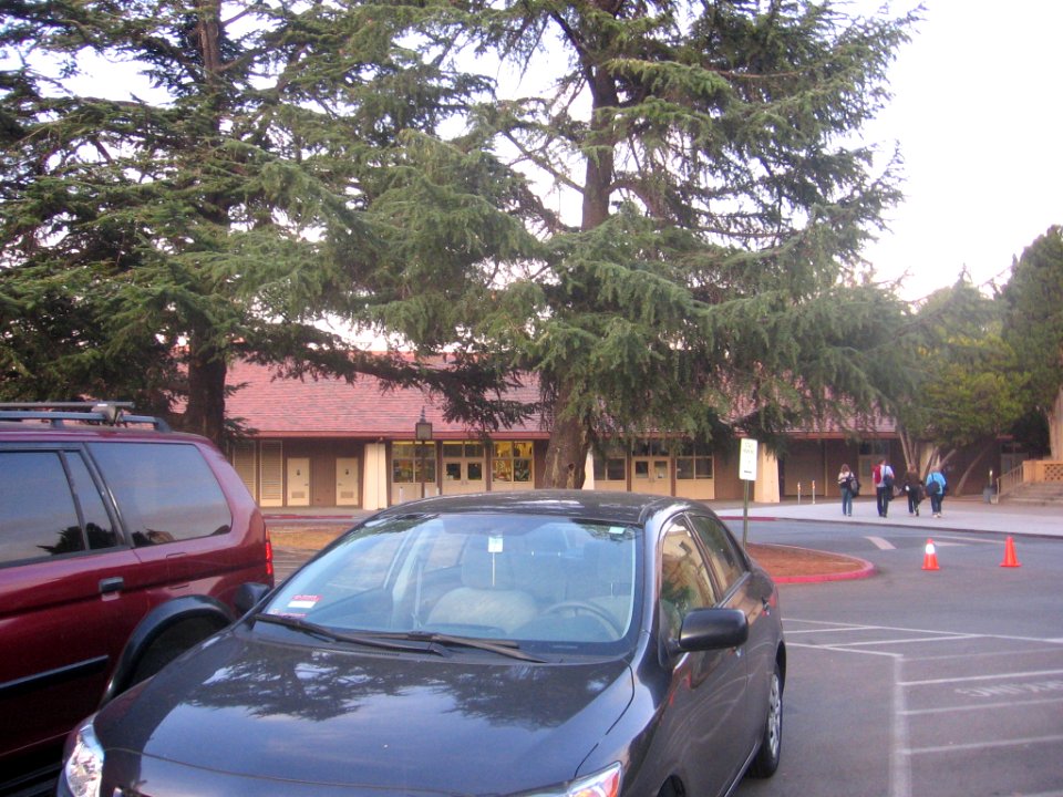 Palo Alto High school 1288 11