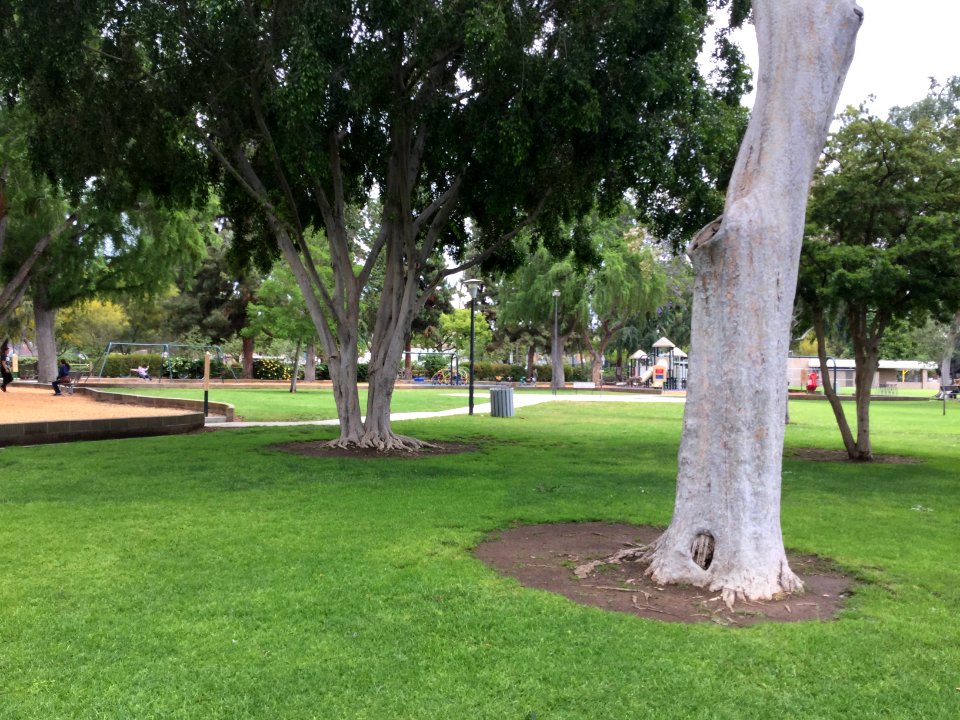 Palm park, Whittier, California 6