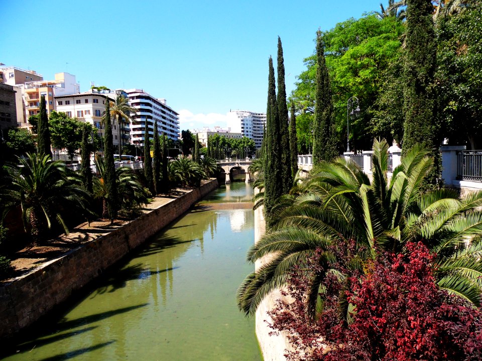 PALMA de MALLORCA, AB-170