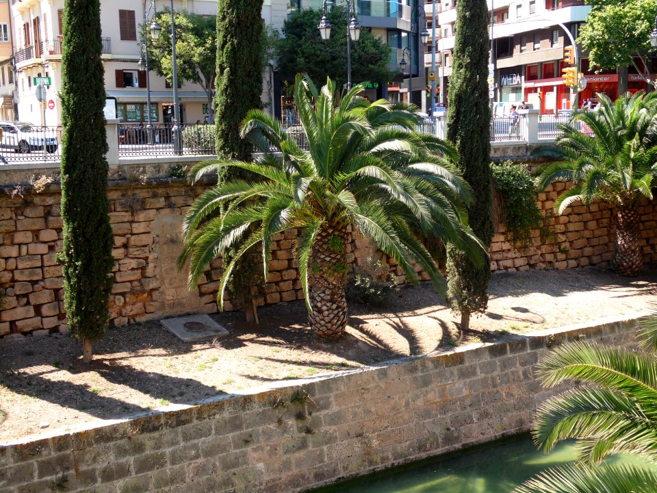 PALMA de MALLORCA, AB-165