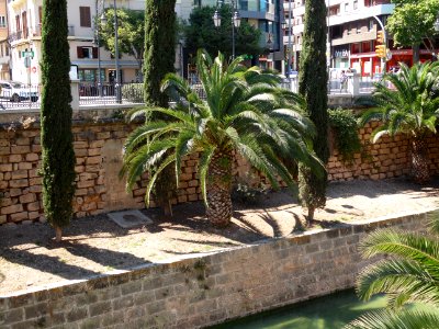 PALMA de MALLORCA, AB-165