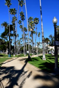Palisades Park (Santa Monica)