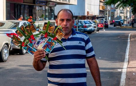 Palms seller for Palm Sunday